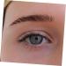 Didiseaon 5 Sheets Eyebrow 3d Sticker Stickers Waterproof Imitation Ecological Makeup Brow Sticker Tool Modify - Buy Online on GoSupps.com
