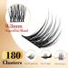 Buy Cluster Eyelash Extensions - 180 PCS Wispy DIY Individual Lashes with Super Thin Band - Soft Mink False Eyelashes Mixed Tray (C-8-16mix) for Stunning Lashes - Buy Online on GoSupps.com