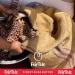 Buy 100% Natural Baobab Oil 1.69 fl.oz | Handcrafted Cold Pressed Wild Harvested - Shop Internationally - Buy Online on GoSupps.com
