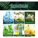 Buy Googer Herbal Tension Cleaning Fog - Powerful Lung Support & Repair Spray 4 Weeks of Herbal Relief 100% Natural Lung Health Solution - Buy Online on GoSupps.com