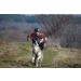Buy Northern Howl X-Back Dog Harness for Canicross Bike Skijoring & Sled - Red XXXL | International Shipping Available - Buy Online on GoSupps.com