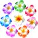 8pcs Flower Claw Clip Flower Hair Clips Hawaiian Hair Clips Large Cute Claw Clip Daisy Hair Clips Strong Hold Nonslip Hawaii Clips Plumeria Hair Barrettes for Women Girls Friend Gift
