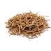 HerbaNordPol Chinese Panax Ginseng Root Rich in Ginsenosides and Panaxosides (200) - Buy Online on GoSupps.com