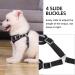 Rennaio No Pull Dog Harness & Leash Set - Adjustable Ultra Breathable Padded Puppy Dishes for Small & Medium Dogs - Black M - Buy Online on GoSupps.com