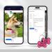 Silicone QR Code Dog Tag for Pet ID | Blue Round Dog/Cat Name Tag | Scan QR for Instant Location Alert - Buy Online on GoSupps.com