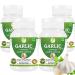 Morsan Healthcare Odorless Garlic Capsules 500 mg | Allium sativum | 240 Vegan Capsules | Herbal Supplement | Vegan Gluten-Free GMO-Free | Natural Herbal Supplement | Pack of 4 Bottle