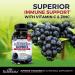BioSchwartz Respiratory & Immune Lung Support Supplement with Quercetin (1 Month Supply) Plus Elderberry Gummies with Zinc and Vitamin C for Adults Immune Support (1 Month Supply) - Buy Online on GoSupps.com