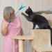 Shop Ukofew 12-Piece Cat Fishing Toys with Springs & Feathers Interactive Fun for Cats of All Sizes | International Shipping Available - Buy Online on GoSupps.com