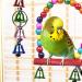 10-Piece Colorful Bird Toy Set for Parrots - Swings Chops Hanging Bells for Budgies Finch and Cockatiels - Buy Online on GoSupps.com