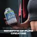 Body Attack 100% Pure Creatine Capsules - 600 Count | Sports Nutrition Supplement for Energy & Performance - Ship Internationally - Buy Online on GoSupps.com