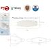 Pack of 10 Premium 3D Disposable KF94 Face Masks for Kids (Ages 3-9) - 4-Layer Filters Protective Dust Masks Individually Packed Made in Korea - Buy Online on GoSupps.com