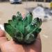 Crystal Decoration Natural Green Ghost Quartz Crystal Cluster Crystals Raw Gemstone Specimen for Homeamp Office Decoration 1pcs Home Decor Beautiful Gifts ZJGIDTEM (Size : 400-500g)