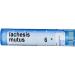 Lachesis Mutus 6C MD Boiron 1 Tube Pellet