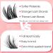 72pcs Wispy Natural Spiky Cluster DIY Eyelash Extension Pack | EYDEVRO C+ Curl 8-16mm Mixed Length Individual Lashes - Buy Online on GoSupps.com