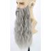 Topcosplay Wig and Beard Men's Long Grey Wig Cosplay Wizard Sorcerer Prophet Wig for Carnival Halloween Costume - Buy Online on GoSupps.com