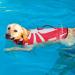 Spider Shape Dog Life Jacket - Medium Red | Adjustable Safety Vest for Summer Swimming - Beach & Pool Rescue Handle | Pet Lifesaver Floating Vest - Buy Online on GoSupps.com