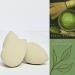 Green Tea Beauty Sponge | Eco-Friendly Vegan & Cruelty-Free Makeup Blender | Biodegradable & Latex-Free Beauty Tool for Liquid & Powder - Buy Online on GoSupps.com