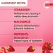 MENT Strawberry Dew Strobe Cream - Radiance Moisturizer & Highlighter for Instant Glow | Hydrating Skin Cream for Women & Men | 30ml - Buy Online on GoSupps.com