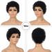 Yargel Hair Glueless Short Curly Wig for Black Women - Human Hair None Lace Front Daily Party Wear - 1B Color - 2 Inch - Buy Online on GoSupps.com