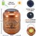 Hummingbird Solar Lanterns Outdoor Waterproof Hanging Solar Lights Hummingbird Gifts for Women Men Metal Bird Decorative LED Lanterns for Yard Patio Lawn Tabletop Pathway Landscape G 2 Pack Tree of Life Hummingbird - Buy Online on GoSupps.com