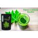 Papaya Leaf Powder - 500 GM - Buy Online on GoSupps.com