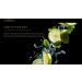 Healing Cream 50ml - Soothing Relief for Skin | Shop Internationally - Buy Online on GoSupps.com