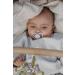 BIBS Supreme Baby Pacifiers | BPA-Free Natural Rubber Pacifier | Made in Denmark | Set of 2 Soothers (Vanilla  6-18 Months) 6-18 Month Vanilla - Buy Online on GoSupps.com