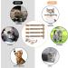 Newoutset 4 Pcs Natural Silvervine Cat Chew Sticks with 3 Pcs Cat Mouse Toys Kitten Catnip Chew Toys for Indoor Cats Cleaning Teeth Teething Stress Release Toys Sticks - Buy Online on GoSupps.com