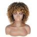 Porsmeer Ombre Blonde Curly Afro Wig - 14 Kinky Curly Bob for Women - Natural Art Hair with Ponytail - Volume for Black Women - Buy Online on GoSupps.com