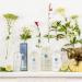 Provence Sante Eau de Toilette Spray - Luxury Long-Lasting Fragrance - Linden Scent - Elegant Perfume Gift - Made in France - 3.5 Oz - Buy Online on GoSupps.com