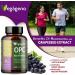 OPC Grape Seed Extract & Resveratrol - 95% High-Dose Antioxidant Non-GMO Vegan 240 Capsules | Premium Quality Supplement - Buy Online on GoSupps.com