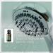 doTERRA Eucalyptus Radiata Essential Oil - 15 mL | Pure & Natural Aromatherapy - Buy Online on GoSupps.com