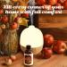 Buy SALUBRITO Spiced Cider Essential Oil 4 Fl.Oz - Pure Natural Fall Scented Oil for Diffuser Skin Massage Candle & Soap Making - International Shipping Available - Buy Online on GoSupps.com