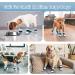 Kuoser Dog Socks - 3 Pairs Anti-Slip Paw Protection for Hardwood Floors | Blue L (6-Pack) - Buy Online on GoSupps.com