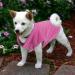 Pink Dog Fleece Vest with Turtleneck for Small Medium Dogs - Winter Jacket with Leash Hole - Buy Online on GoSupps.com