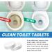 Toilet Tank Cleaner | Automatic Toilet Bowl Cleaner - Toilet Tablet for Cleaning Stains with Active Oxygen Purification for Bathroom and Various Cleaning Occasions Fanelod - Buy Online on GoSupps.com