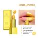 Naroote Gold Lipstick | Waterproof Glitter Lip Gloss | Long Lasting High Pigment Lip Makeup for Women - 3.5g - Buy Online on GoSupps.com