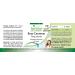 Fairvital Beta Carotene 25 000 IU - High Dose Provitamin A - 15mg Softgels - 90 Capsules for Immune Support - Buy Online on GoSupps.com