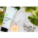 Suavecita Kale & Algae Hair Mask - Hydrating, Revitalizing, Replenishing - Buy Online on GoSupps.com