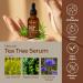 Gya Labs Tea Tree Serum - Tea Tree Oil & Cornflower Extract - Soothes Skin for Supple Look (30ml) - Buy Online on GoSupps.com