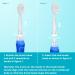 Seago Electric Toothbrush Replacement Heads for Kids - SG-513 SG-977 SG-2139 (Gray) - Buy Online Internationally - Buy Online on GoSupps.com