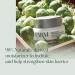 Farm Rx Super Greens Multivitamin Moisture Cream - Vegan Daily Face Cream with Vitamins A B C & E for Skin Barrier Support (90ml - Buy Online on GoSupps.com