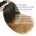 Ancient Lichenhaar Easy Braid 30-inch Professional Synthetic Fiber Crochet Borders - Itch-Free Yaki Texture Hair Extensions (1B/27#) - 6 Pack - Buy Online on GoSupps.com