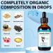 Dog Cough Supplements for Kennel Cough & Allergy Relief | Immune Support for All Breeds - Buy Online on GoSupps.com