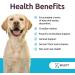 K9 Select Melatonin for Dogs - Calming Chews for Stress Relief & Sleep Support - 90 Beef-Flavored Tablets 6mg Each - Ideal for Large Dogs - Buy Online on GoSupps.com