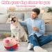 Moving Dog Toy Ball - Non-Toxic Plush Pet Toy for Active Training | Bite-Proof & Fun - Buy Online on GoSupps.com