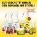 Stiefel RP1 auch als gel 500 ml - Buy Online on GoSupps.com