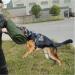 ZINN Protection Sleeve for Dog Bite Training Dog Bite Sleeves Work Dog Training Arm Protection Bite Sleeve Strong for Medium Large Adult Dogs - Buy Online on GoSupps.com
