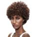 Afro 5 Short Curly Wigs with 100% Brazilian Hair (3-Color Mixed: DARK BLONDE & MEDIUM AUBURN & DARK BROWN) - Afro Wigs for Black Women - Human Hair Wigs - Beauty Personal Care Afro Wig 5 Inch (Pack of 1) 3-COLOR MIXED -...