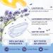 Scala Foot Peel Mask (2 Pack) - Dead Skin Remover for Dry Cracked Feet - Exfoliator Gel for Cracked Heels - Lavender Scented Treatment for Baby Soft Smooth Skin - Birthday Gift for Women - Buy Online on GoSupps.com